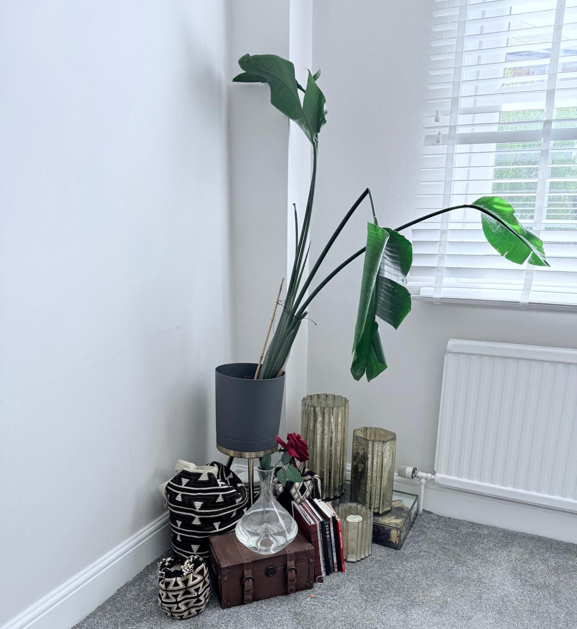 Bright And Modern Flat Near Portobello Road And The Canal ロンドン エクステリア 写真
